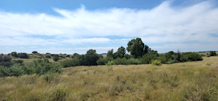 Commercial Property for Sale in Mangaung Free State